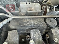 دونج فينج فينوسيا